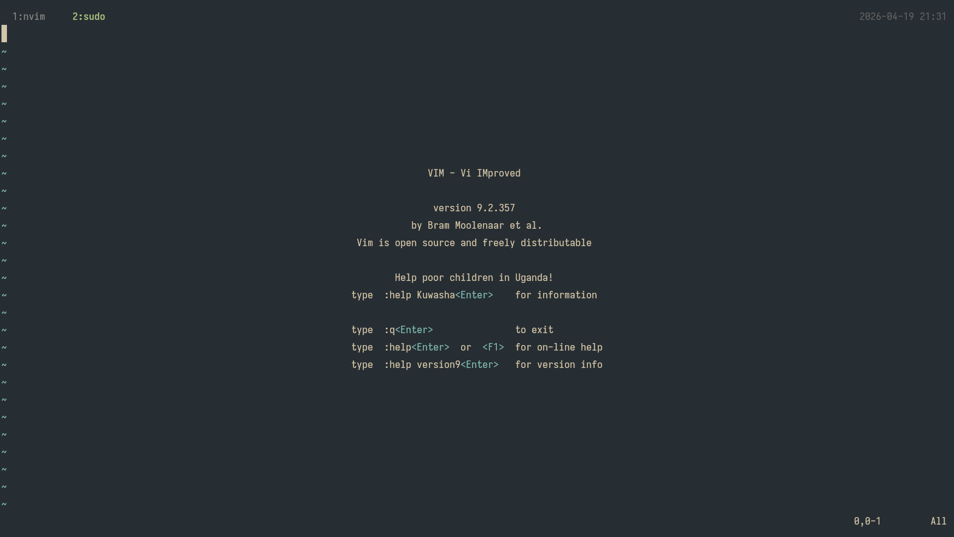 Vim inside a container
